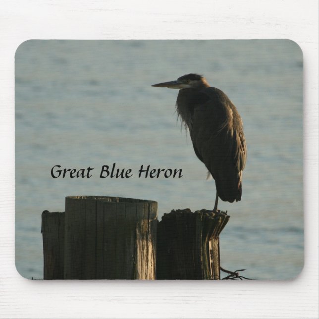 Mousepad Mousepad:  Garça-real de grande azul (Frente)