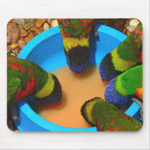 Mousepad Mousepad, Lorikeets