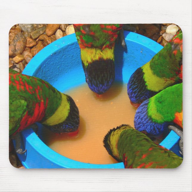 Mousepad Mousepad, Lorikeets (Frente)
