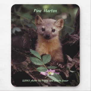 Mousepad Mousepad/Marten de pinho