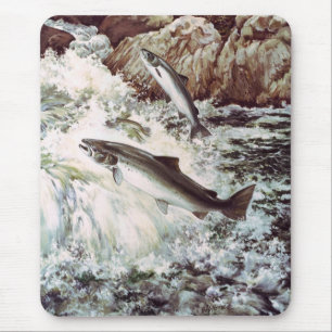 Mousepad Mousepad/salmões atlânticos