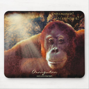 Mousepad Mousepad, suporte para a vida selvagem na floresta