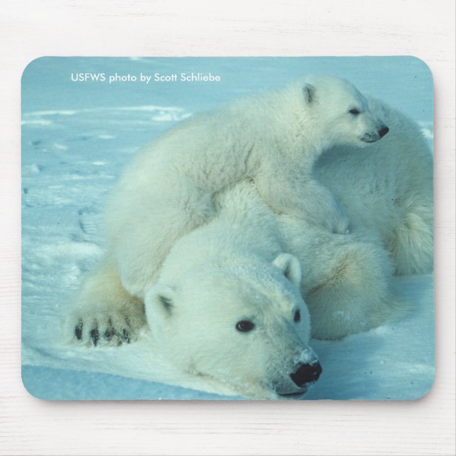 Mousepad Mousepad/urso polar & Cub (Frente)