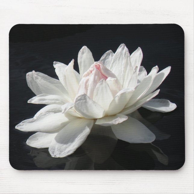 Mousepad Mousepad, White Water Lily (Frente)
