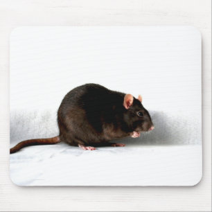 Mousepad mpm de rato