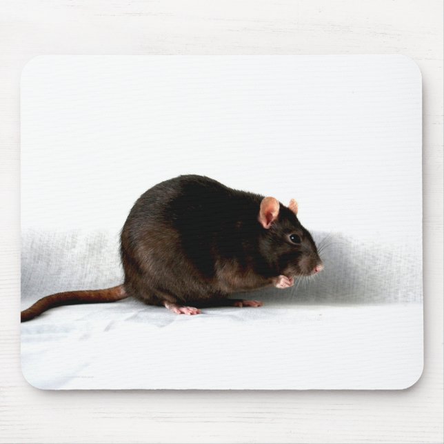 Mousepad mpm de rato (Frente)