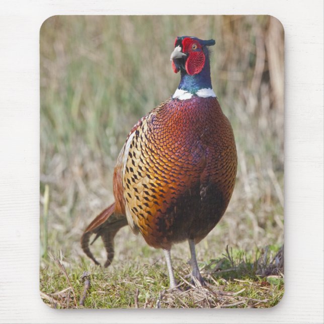 Mousepad Mr Pheasant Mousemat (Frente)