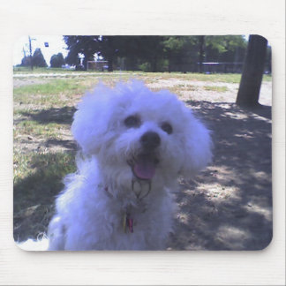 Mousepad Muffie no parque do cão