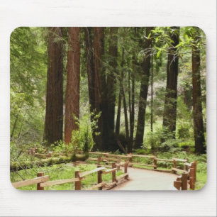 Mousepad Muir Woods Path I Nature Photoics