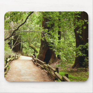Mousepad Muir Woods Path II - Fotografia natural