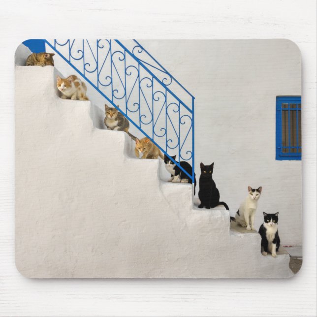 Mousepad Muitos gatos numa escada branca numa aldeia grega (Frente)