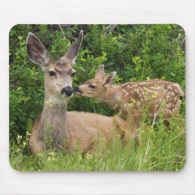 Mousepad Mule Deer Doe com Fawn (Frente)