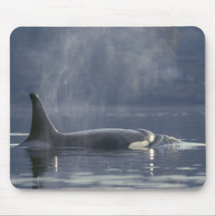 Mousepad Mulher adulta Orca (Orcinus Orca), Puget