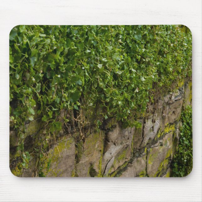 Mousepad Muro De Ivy (Frente)