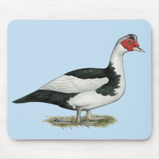 Mousepad Muscovy Black Pied Drake (Frente)