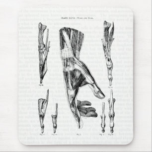 Mousepad Músculos de Arte Vintage Anatomy do Pulso e Mão