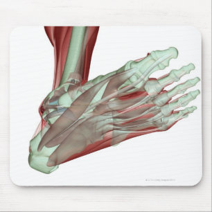 Mousepad Musculoskeleton do pé 2