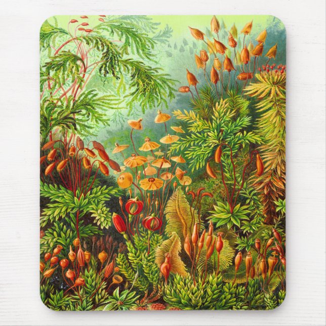 Mousepad Musgos (Frente)