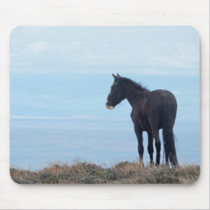 Mousepad Mustang Selvagem