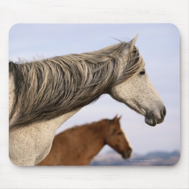 Mousepad Mustangs Espanhóis (Frente)