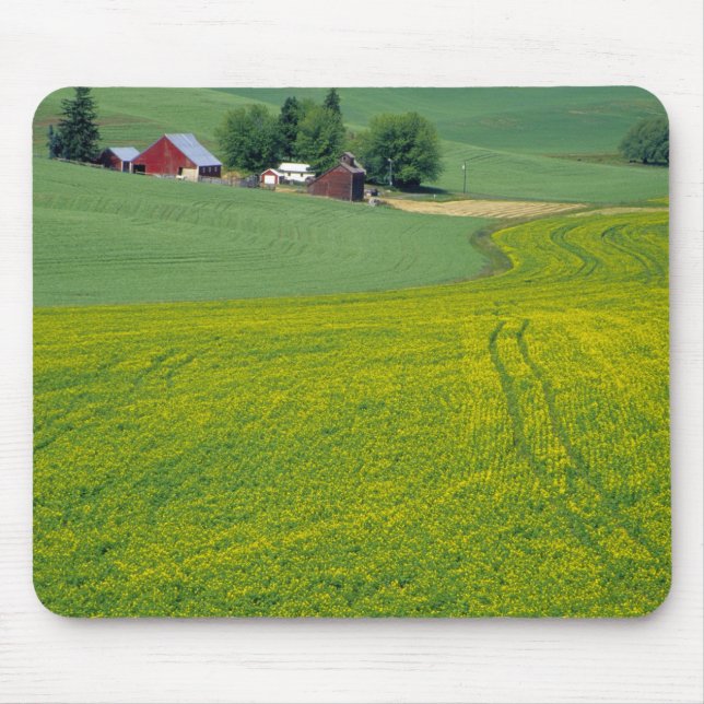 Mousepad N.A., EUA, Idaho, Condado de Latah, perto de Genes (Frente)