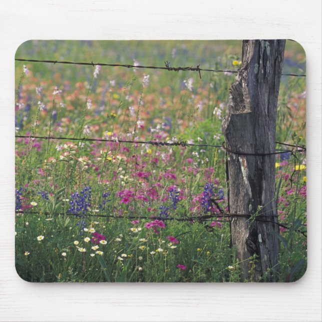 Mousepad N.A, EUA, Texas, Lytle, Poste de cerca e (Frente)