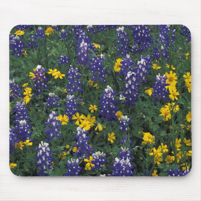 Mousepad N.A., EUA, Texas, Marble Falls, Blue Bonnets (Frente)