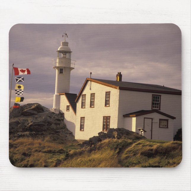 Mousepad NA, Canadá, Terra Nova, Lobster Cove. Lagosta (Frente)