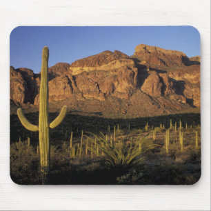 Mousepad NA, EUA, Arizona. Parque Nacional Organ Pipe Cactu