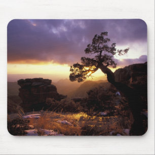 Mousepad NA, EUA, Arizona, Tucson, Pôr do sol e solitária