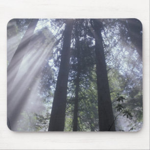 Mousepad NA, EUA, Califórnia. Costa Del Norte Estado