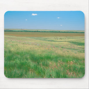 Mousepad NA, EUA, NE. Campos perto de Ogallala com