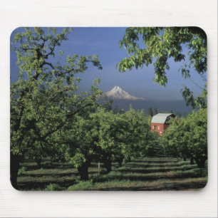 Mousepad NA, EUA, Oregon, perto de Hood River Mt. Hood com