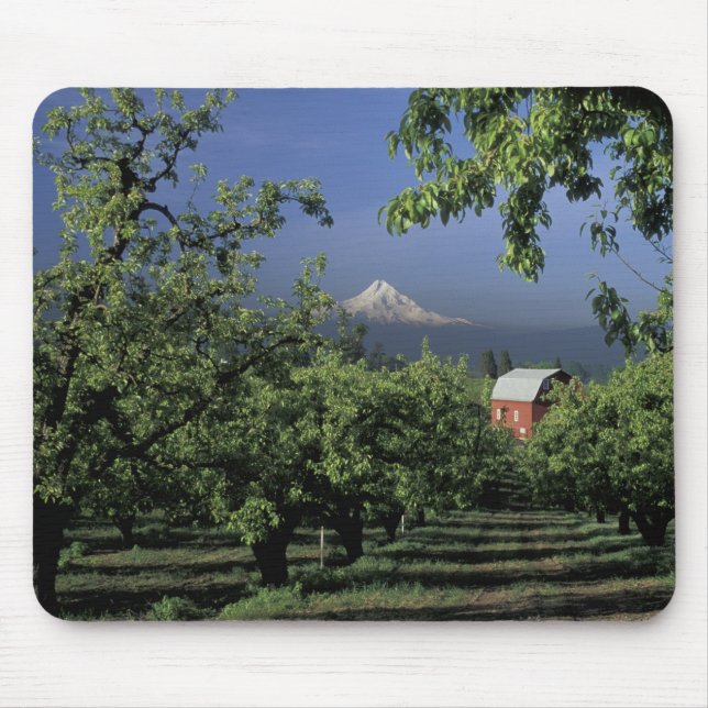 Mousepad NA, EUA, Oregon, perto de Hood River Mt. Hood com (Frente)