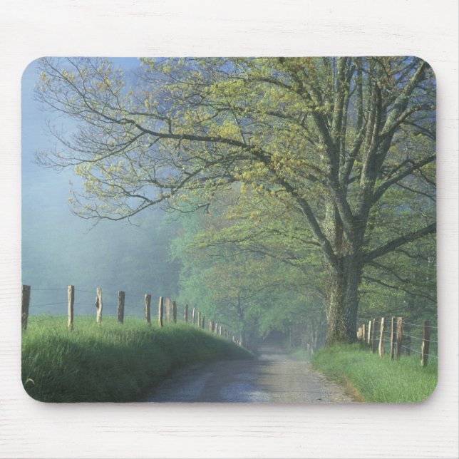 Mousepad NA, EUA, Tennessee, Cades Cove, Enfumaçado Excelen (Frente)