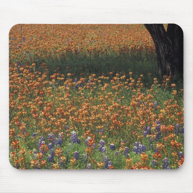 Mousepad NA, EUA, Texas, Hill Country, Paint brush e (Frente)