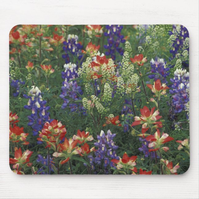 Mousepad NA, EUA, Texas, perto de Marble Falls, Pincel (Frente)