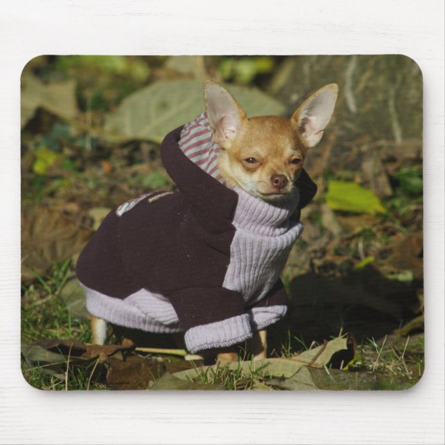 Mousepad Na moda Chihuahua (Frente)