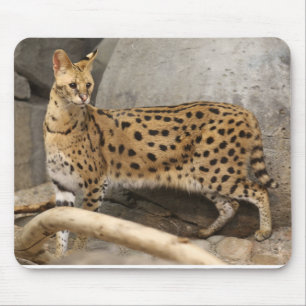 Mousepad Na moda do Serval e funcional africanos