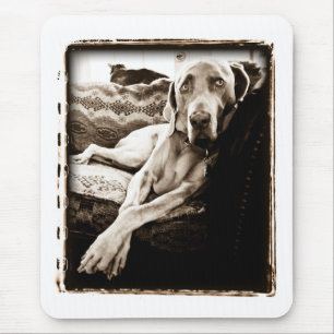 Mousepad Nação de Weimaraner: De "A cadeira Ballou "