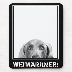 Mousepad Nação de Weimaraner: Weimaraner em uma caixa!