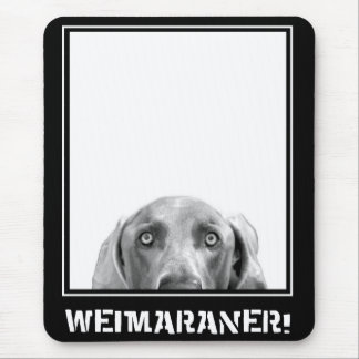 Mousepad Nação de Weimaraner: Weimaraner em uma caixa!