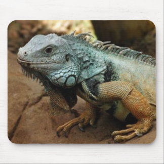 Mousepad Não seja azul