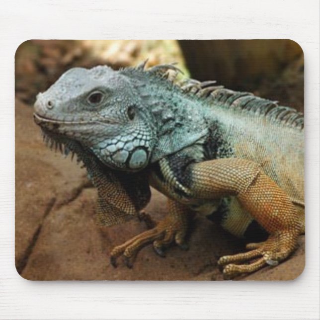 Mousepad Não seja azul (Frente)