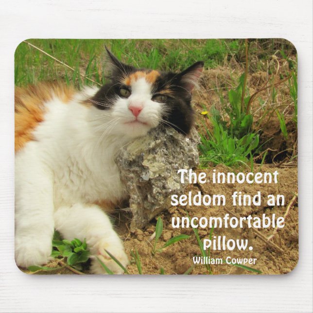 Mousepad Não tão inocente? (Frente)