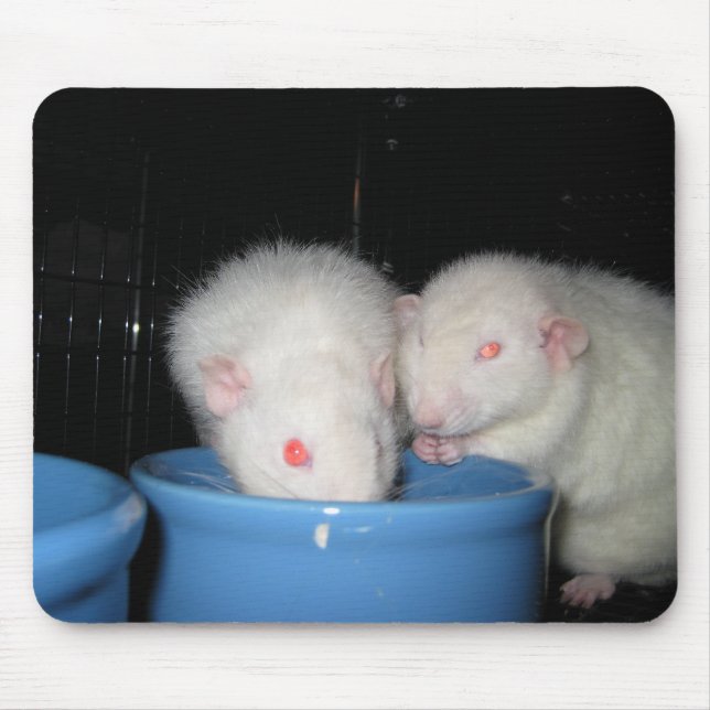 Mousepad Não um tapete do rato… (Frente)