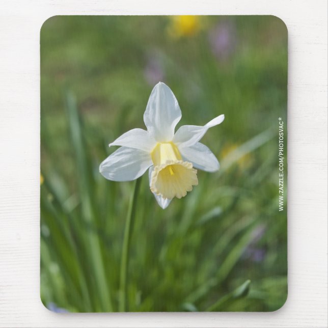 Mousepad Narciso (Frente)