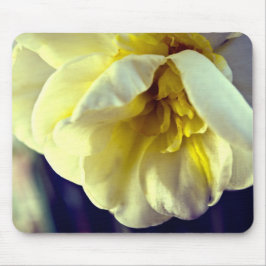 Mousepad Narcissus Daffodil