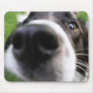 Mousepad Nariz de cão de border collie