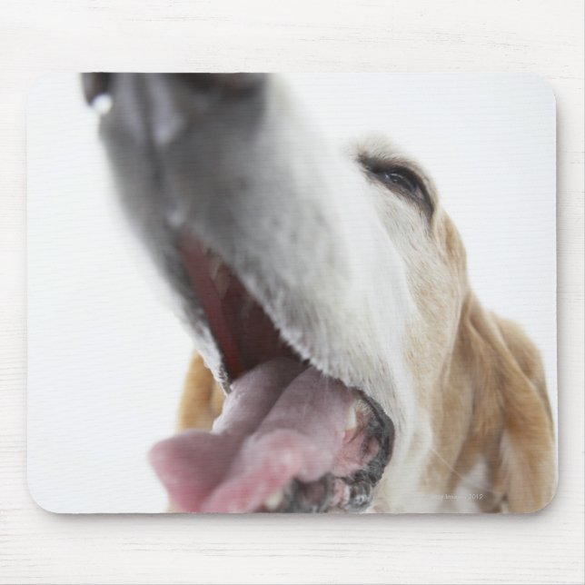 Mousepad nariz de cão, fechar (Frente)